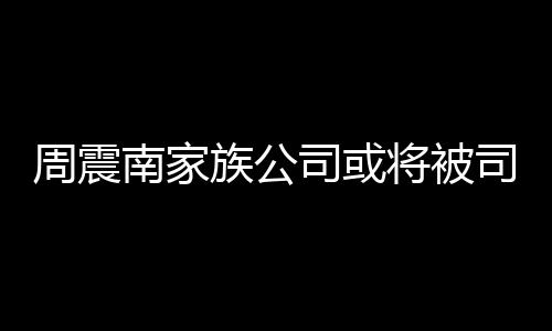 南家周震族公 周震南拍卖父母多少将被司或司法欠了钱